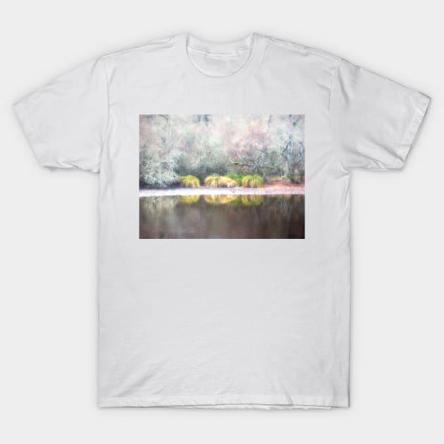 Grass reflected in a lake 1 T-Shirt by rosedew